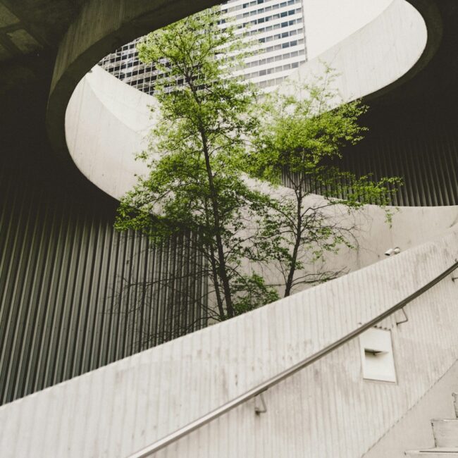 architectural photography of concrete stair